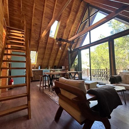 Panurlawoodenhouse Oezel Havuz& Sauna Mavi Экстерьер фото