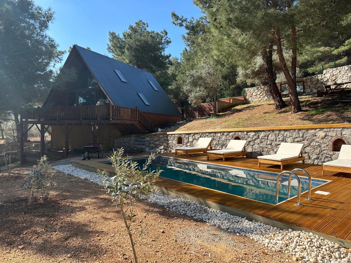 Panurlawoodenhouse Oezel Havuz& Sauna Mavi Экстерьер фото