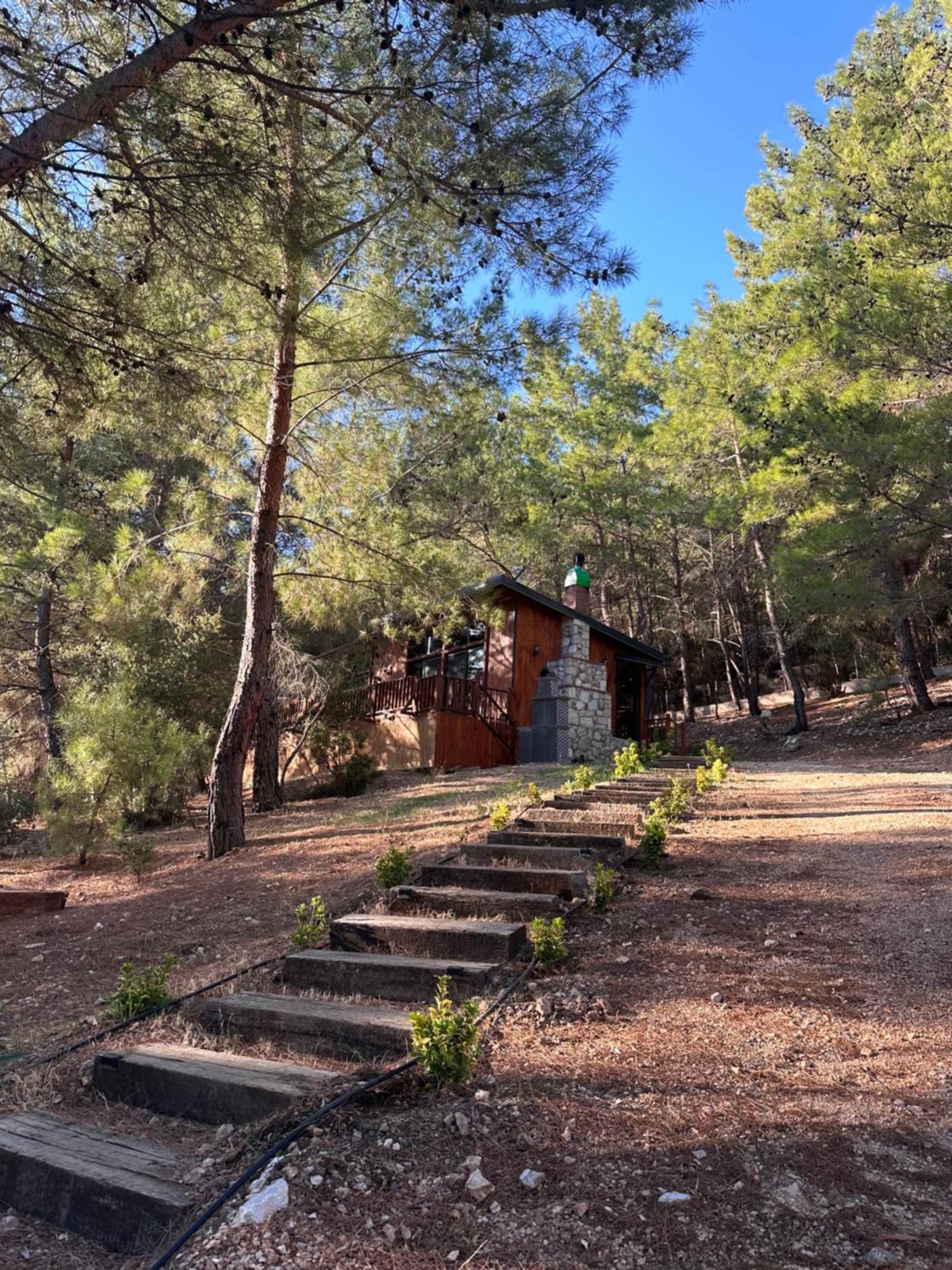 Panurlawoodenhouse Oezel Havuz& Sauna Mavi Экстерьер фото